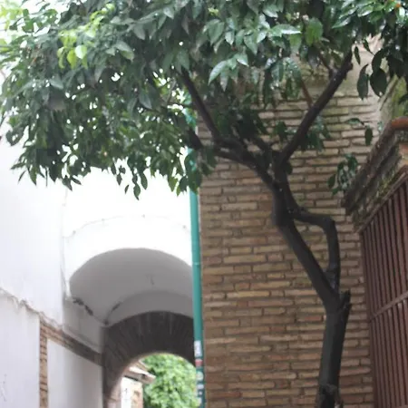 Loft Turistico En Casco Historico, Wifi Y Tv Satelite Gratis Apartment