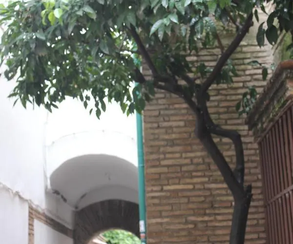 Loft Turistico En Casco Historico, Wifi Y Tv Satelite Gratis דירה