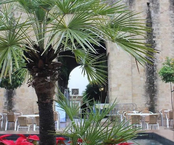 Apartmán Loft Turistico En Casco Historico, Wifi Y Tv Satelite Gratis *